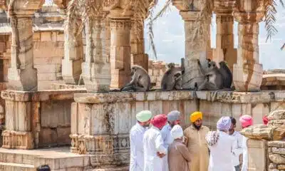 Que pouvez-vous faire en Inde pendant votre séjour